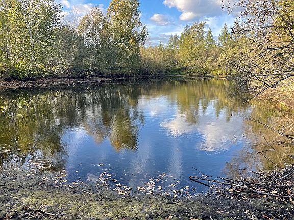 Private pond located on land