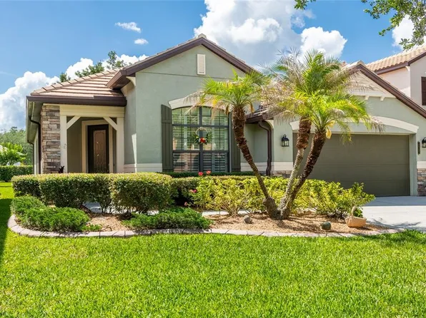 20305 Ash Grove Ln, Tampa, FL 33647