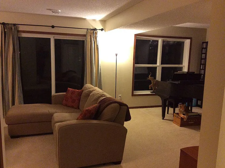 Basement Family Room