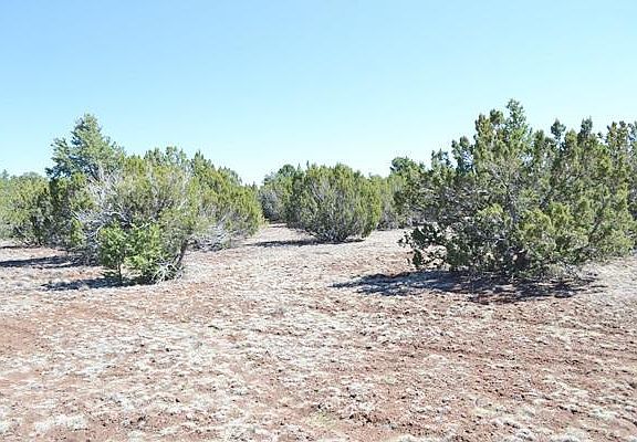 2nd image of 154 County Road 3187