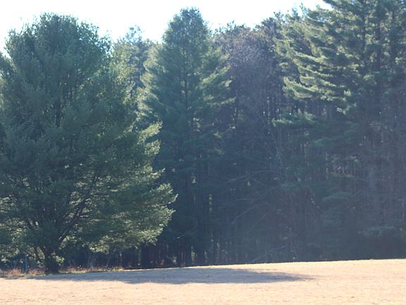 5th image of 542 Fulmer Dr