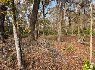 292nd St Lot 16-17, Branford, FL 32008