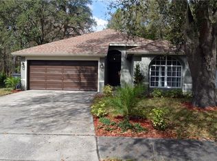 9801 Long Meadow Dr, Tampa, FL 33615