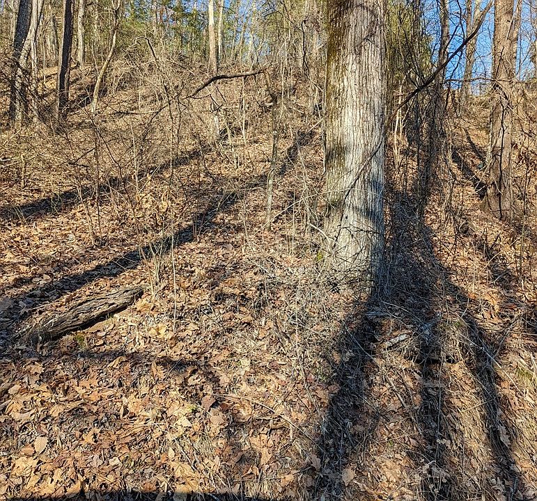 2nd image of 4 Rising Fawn Way Lot 4-A