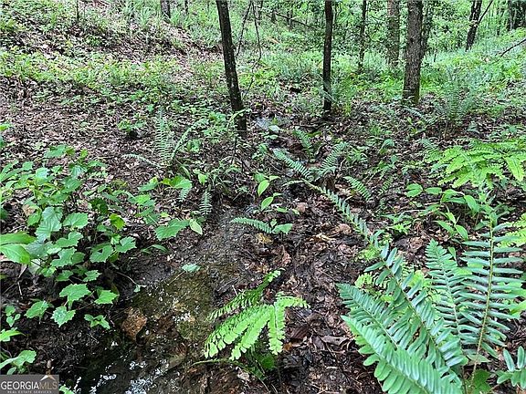 2nd image of 1720 Rebekah Ridge Rd