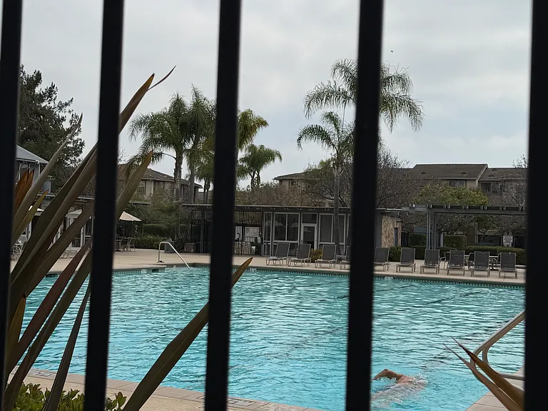 Community pool.