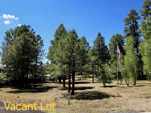 590 E OX BOW Road #32, Munds Park, AZ 86017