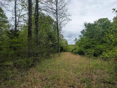 Tbd Highway E, Hartville, MO, 65667