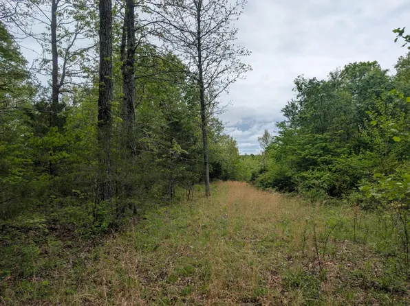 Tbd Highway E, Hartville, MO 65667