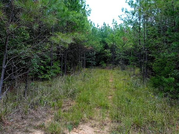 4th image of County Road 88