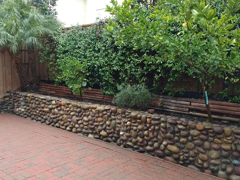 Backyard2