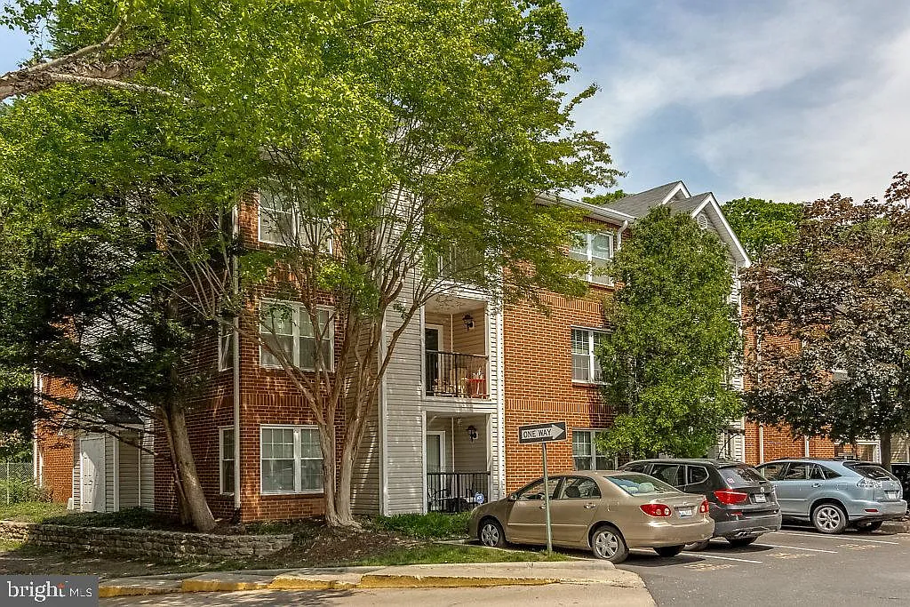 1 bed, 530 sqft, $1,800 — Photo 2