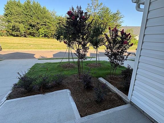 2nd image of 19 Napier Ct
