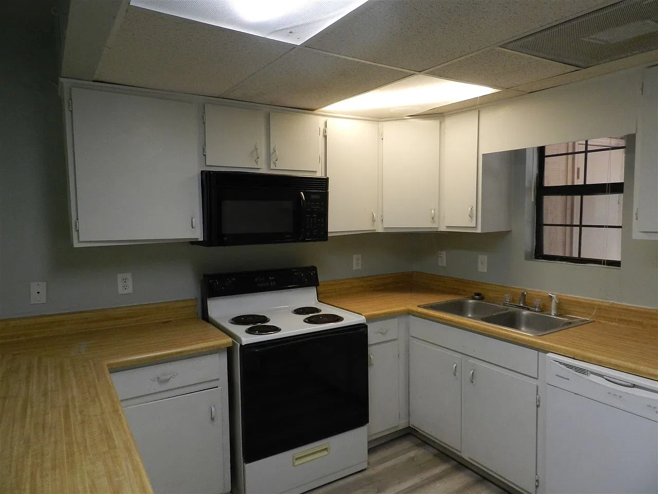 1 bed, 720 sqft, $1,000 — Photo 2