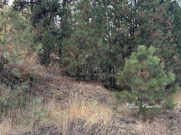 3rd image of Unk Unk Rd