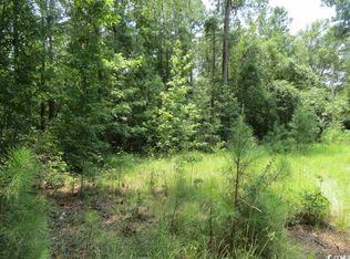 3213 Folly Grove Rd, Hemingway, SC 29554
