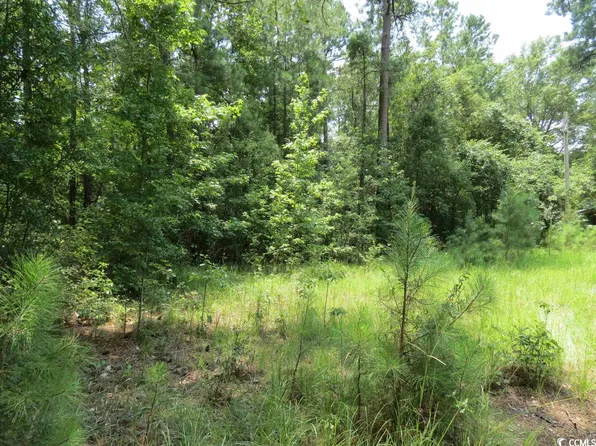 3213 Folly Grove Rd., Hemingway, SC 29554