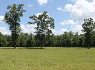 7678 Recreational Road 255, Colmesneil, TX 75938