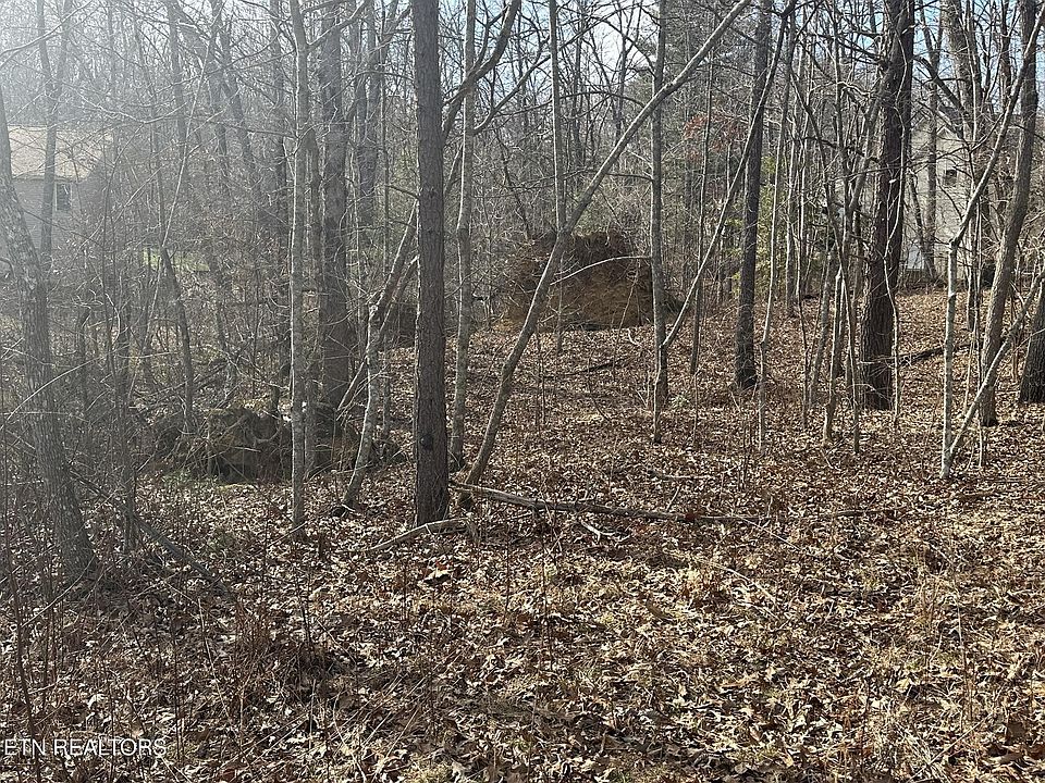 1st image of 131 Burrough Ln Lot 89