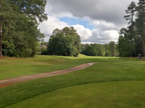 520 Wateroak Trl #5, Chapin, SC 29036