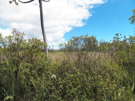 3rd image of Orchidland Dr Lot 51