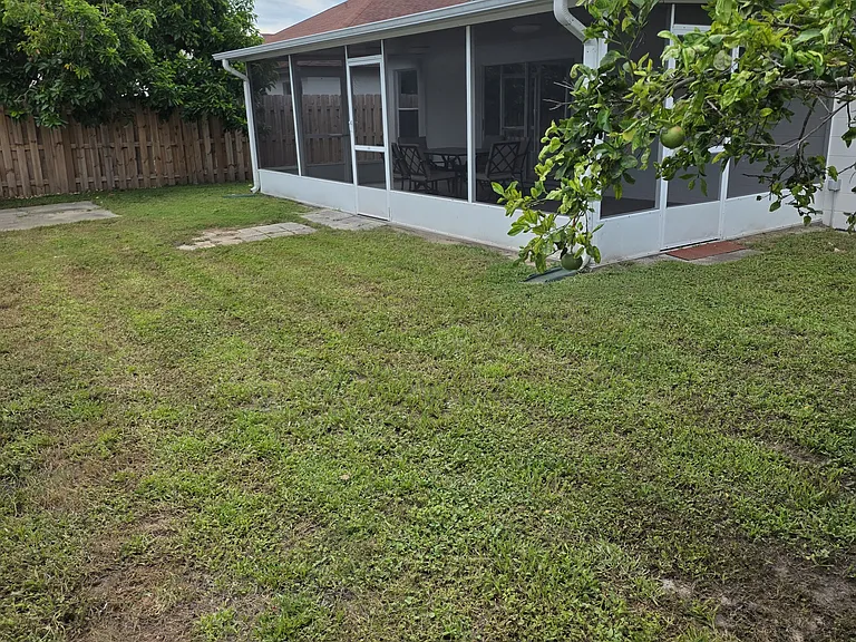 backyard picture by grapefruit tree spacious for dogs to run around