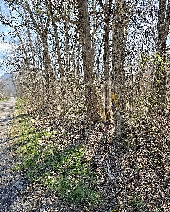 1st image of 0 Hills Creek Rd