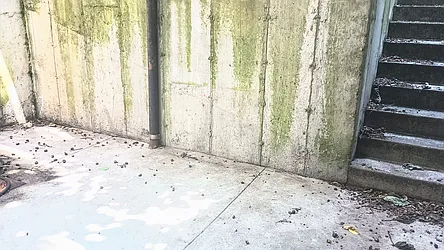 Rented by Oxford Property Group