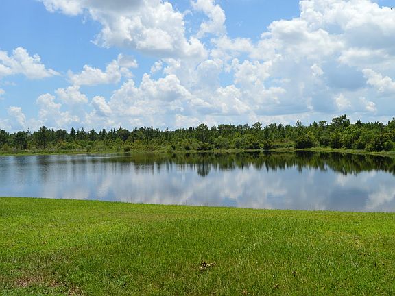 Pond View from Back Patio
