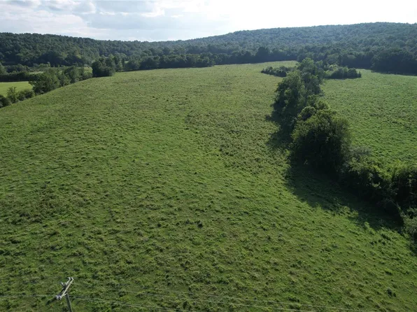 4 Madison St Tract 4, Fredericktown, MO 63645