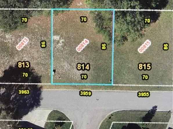 3959 Greenbluff Rd #814, Zellwood, FL 32798