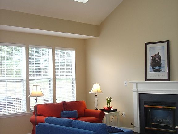 Family Room Skylights
