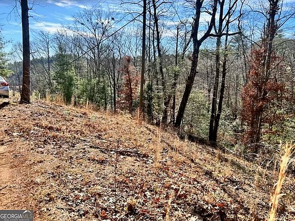 5th image of 0 Corinth Church Rd