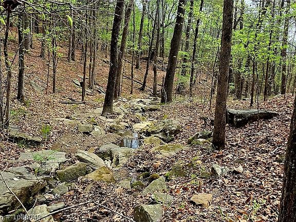 2nd image of Tbd Old Bowman Rd