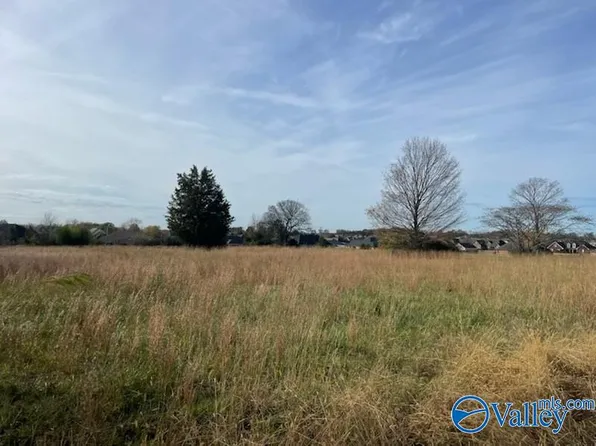 LOT 1 Newby Rd, Madison, AL 35756