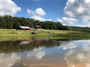 11709 Sawmill Rd, Sainte Genevieve, MO 63670