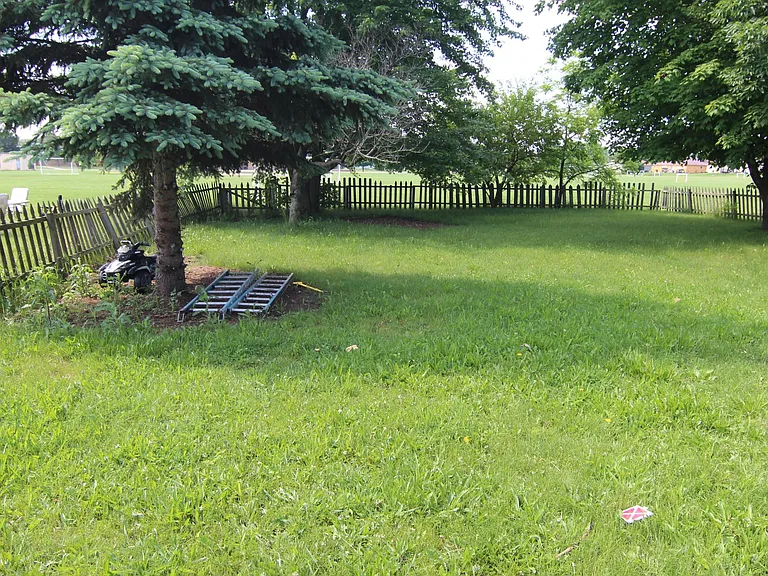 Yard