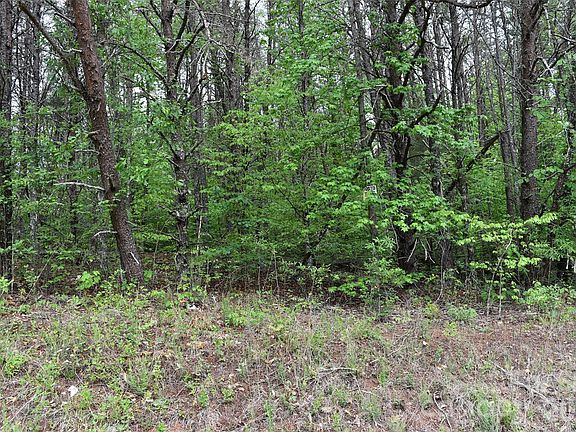 2nd image of 304 Moriah School Rd