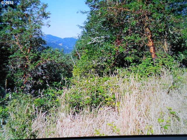 2nd image of 0 Bar L Ranch Rd