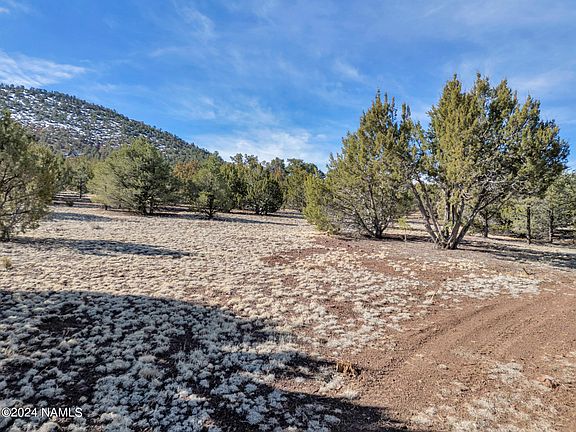 4th image of 7141 N Noel Way Lot 333