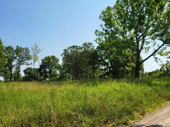000 Wayside Trail, Elkland, MO 65644