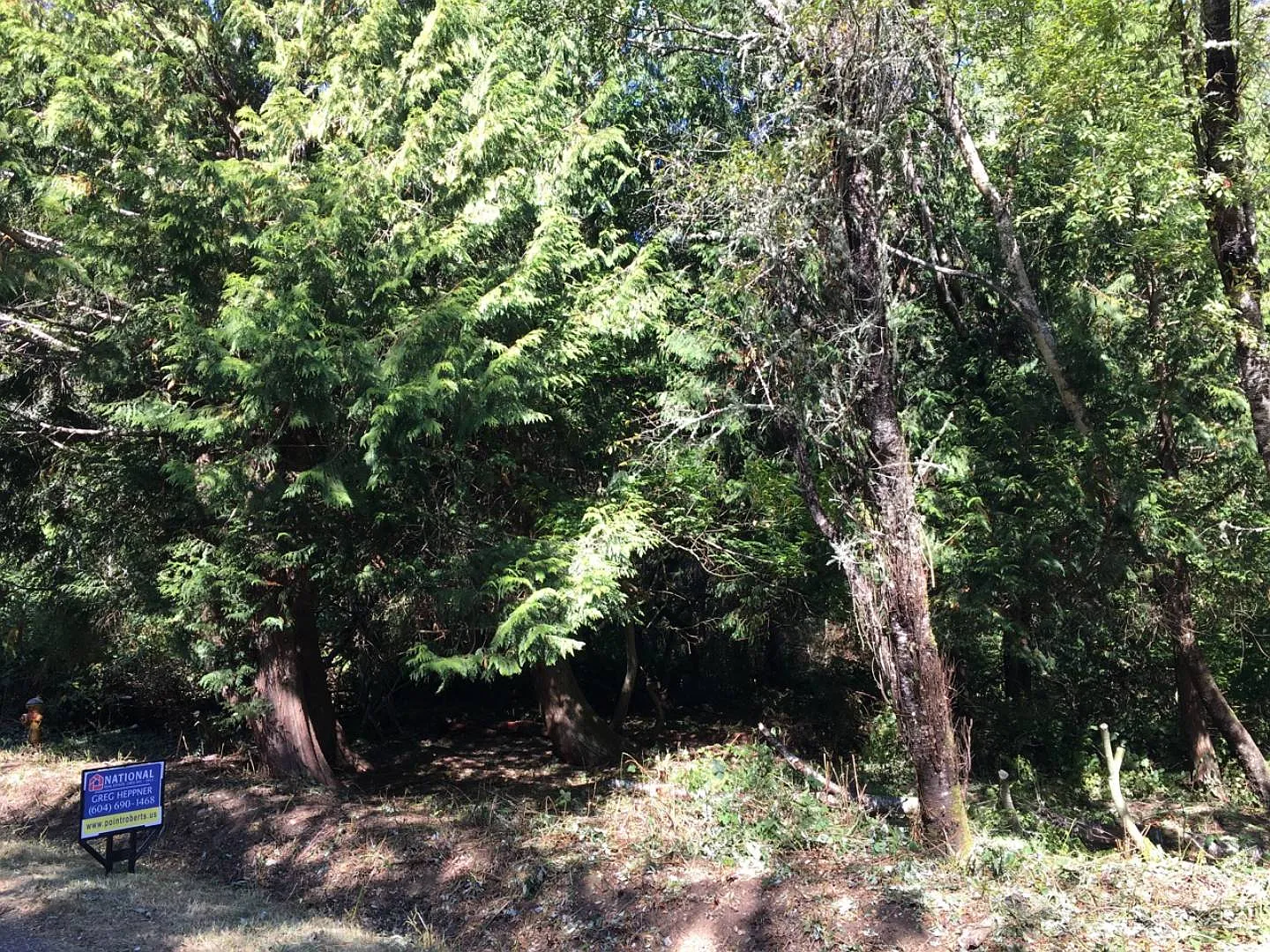 Culp Ct photo 1