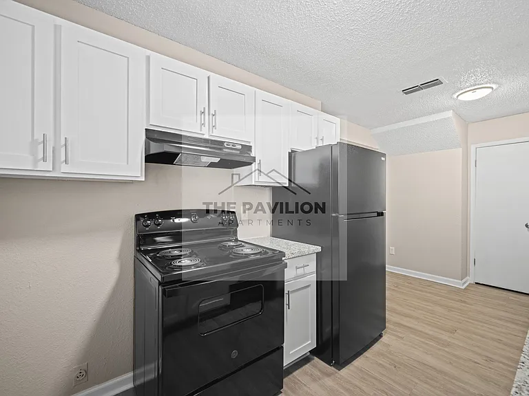 THE PAVILION APARTMENTS — Photo 9