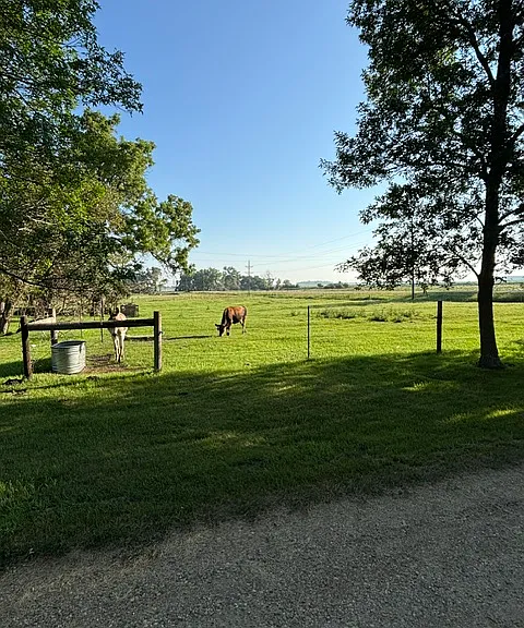 Pasture area