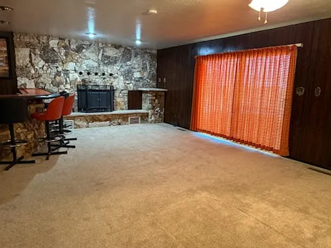 Den with custom bar