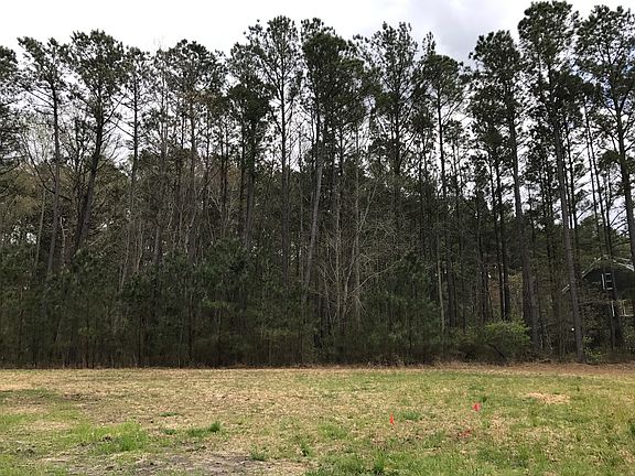 3rd image of 1313 Pitchkettle Farm Ln