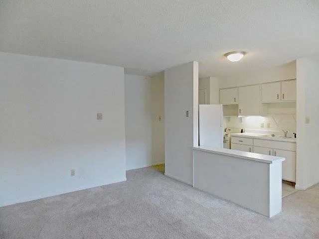 1 bed, 525 sqft, $925 — Photo 3