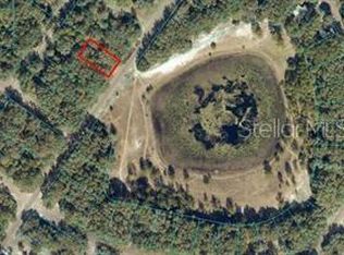 Orange Rd #18, Ocklawaha, FL 32179