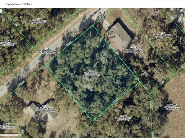 0 Smallman St, Webster, FL 33597
