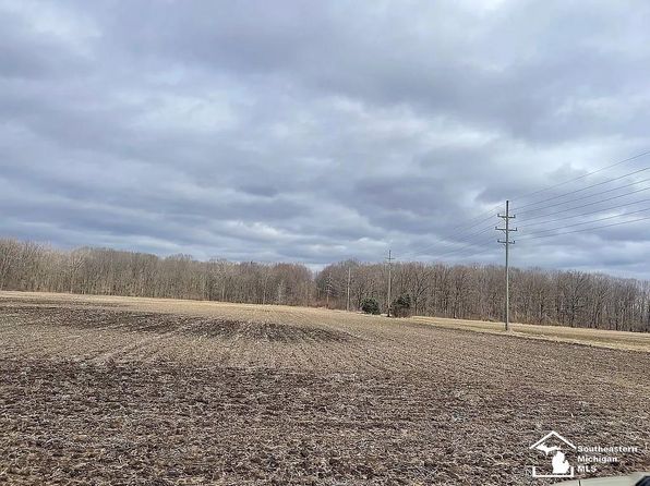 731 E Newburg Rd, Carleton, MI 48117